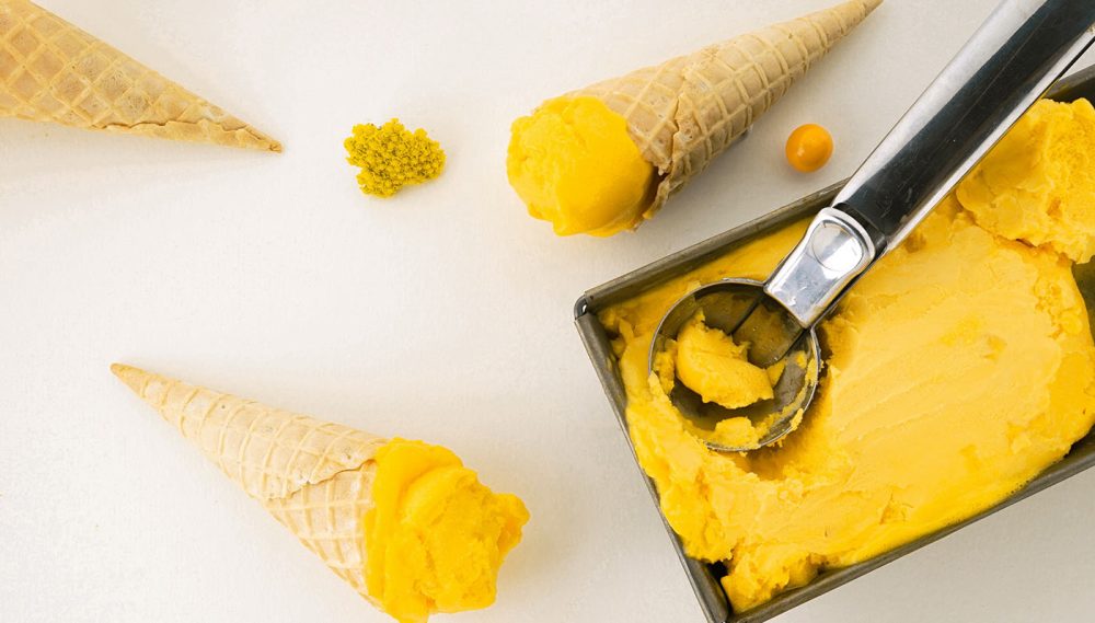 Vegan ice cream flavors Glace